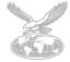 eagle logo